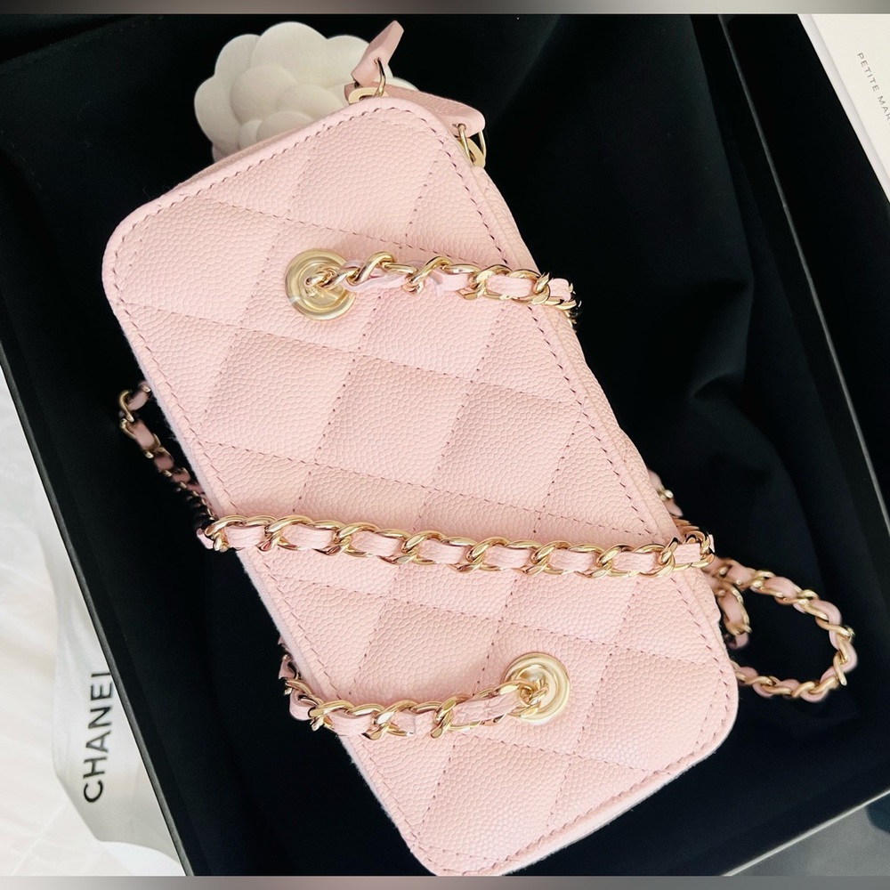CHANEL Pink Quilted Leather Vanity Crossbody Bag with Gold Hardware - Picture 7 of 8